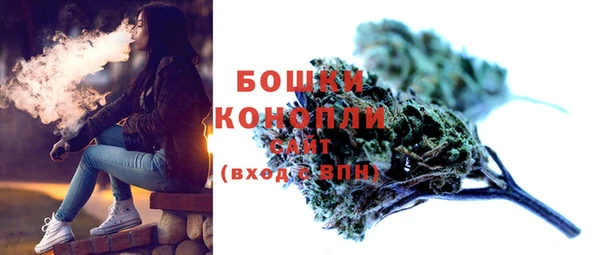 прущие грибы Белоозёрский
