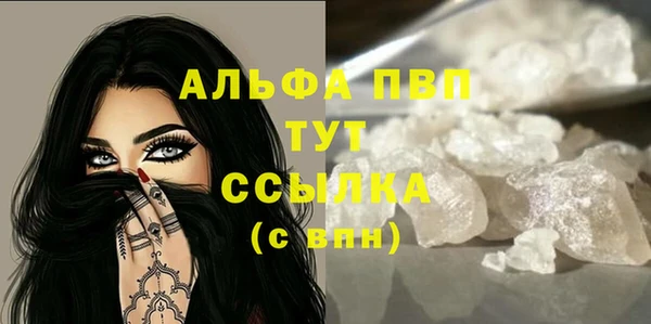 прущие грибы Белоозёрский