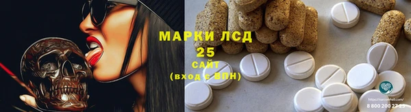 прущие грибы Белоозёрский