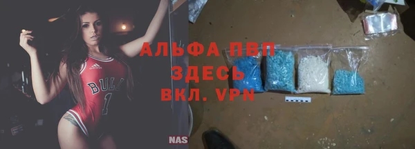 индика Елизово