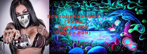 мдпв Белокуриха