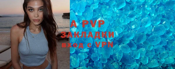 прущие грибы Белоозёрский