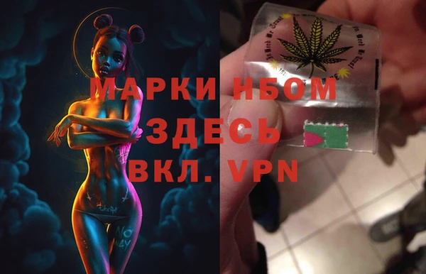 прущие грибы Белоозёрский