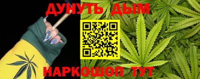 стаф Бийск