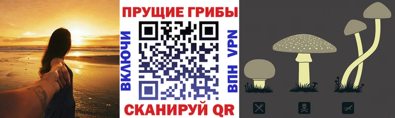 как найти закладки  Горно-Алтайск  Галлюциногенные грибы мухоморы 