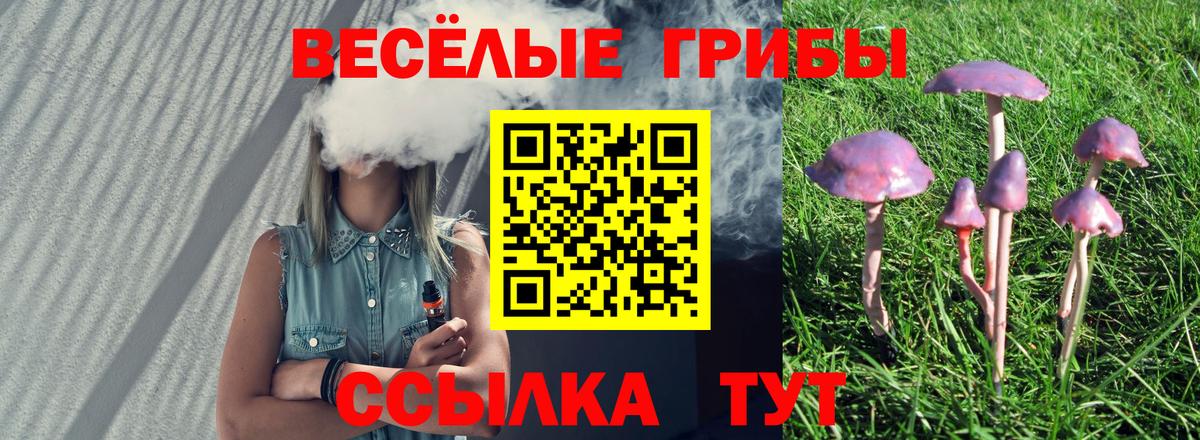 Псилоцибиновые грибы Psilocybe  Горно-Алтайск  купить   Галлюциногенные грибы ЛСД 